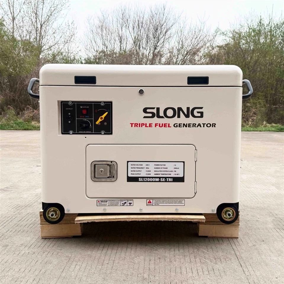 Générateur de gaz LPG à essence à essence inonieuse à carburant de 10 kW